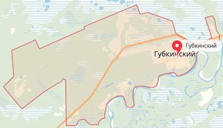 Карта: Губкинский